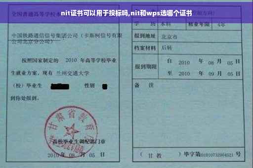 nit证书可以用于投标吗,nit和wps选哪个证书