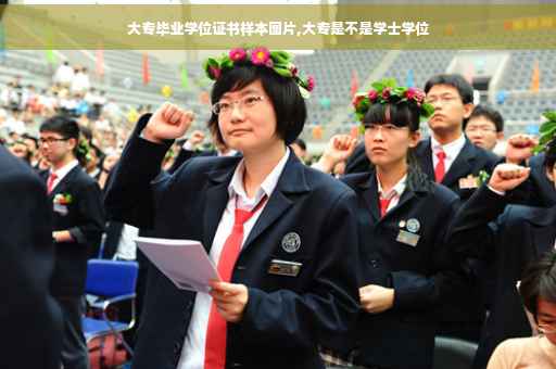 大专毕业学位证书样本图片,大专是不是学士学位