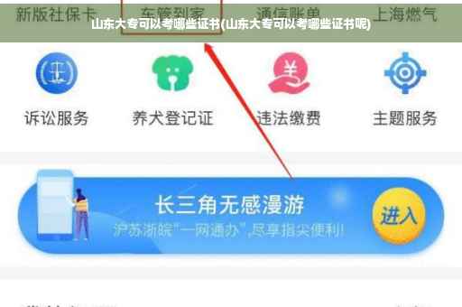 山东大专可以考哪些证书(山东大专可以考哪些证书呢)