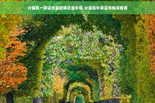 计算机一级证书算初级还是中级,计算机中级证书有没有用