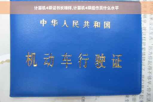 计算机4级证书长啥样,计算机4级操作员什么水平