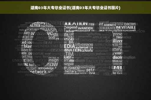 湖南03年大专毕业证书(湖南03年大专毕业证书图片)