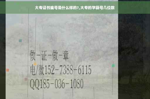 大专证书编号是什么样的?,大专的学籍号几位数