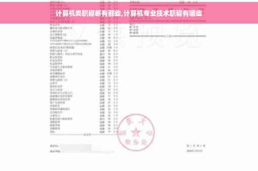 计算机类职称都有那些,计算机专业技术职称有哪些