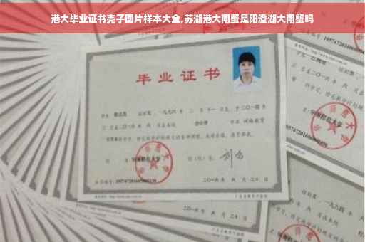 港大毕业证书壳子图片样本大全,苏湖港大闸蟹是阳澄湖大闸蟹吗