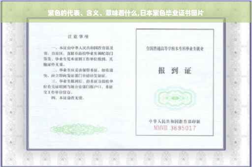 紫色的代表、含义、意味着什么,日本紫色毕业证书图片