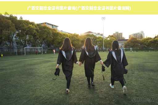 广西交院毕业证书图片查询(广西交院毕业证书图片查询网)