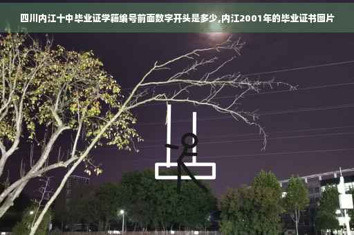 四川内江十中毕业证学籍编号前面数字开头是多少,内江2001年的毕业证书图片