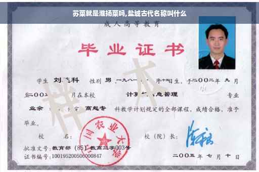 苏菜就是淮扬菜吗,盐城古代名称叫什么