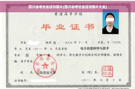 四川自考毕业证书图片(四川自考毕业证书图片大全)