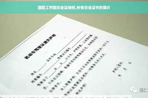 濮阳工学院毕业证啥样,所有毕业证书的图片