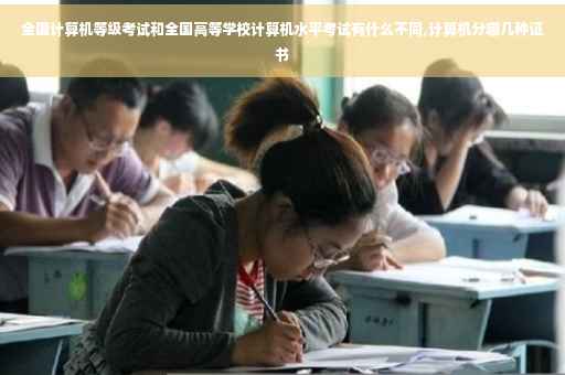 全国计算机等级考试和全国高等学校计算机水平考试有什么不同,计算机分哪几种证书