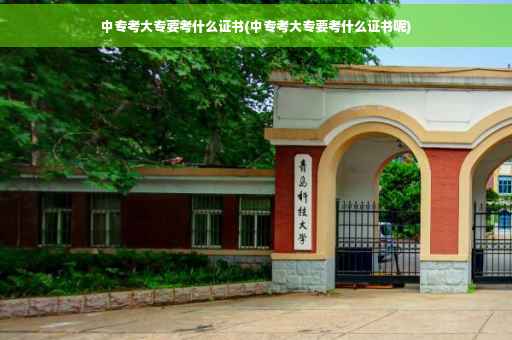 中专考大专要考什么证书(中专考大专要考什么证书呢)