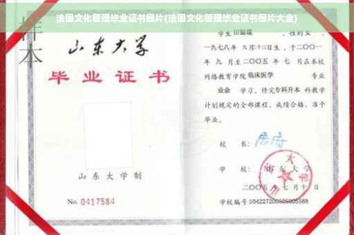 法国文化管理毕业证书图片(法国文化管理毕业证书图片大全)