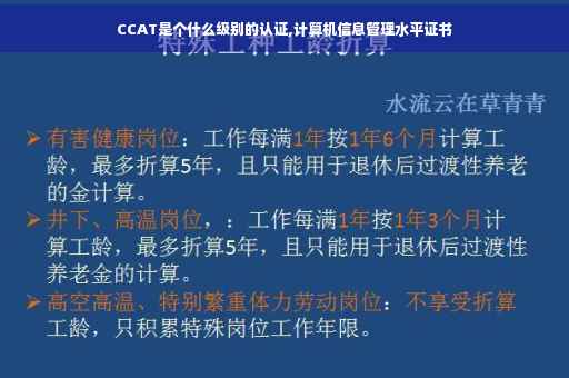 CCAT是个什么级别的认证,计算机信息管理水平证书