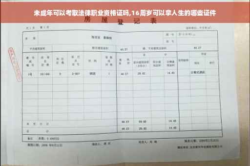 未成年可以考取法律职业资格证吗,16周岁可以拿人生的哪些证件
