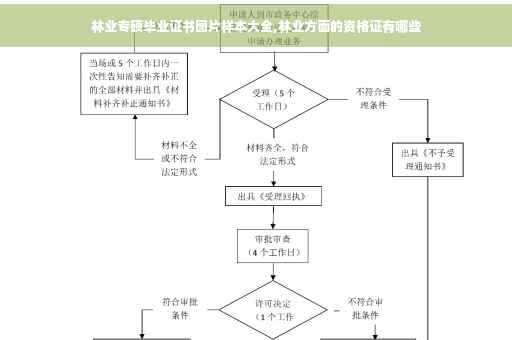 林业专硕毕业证书图片样本大全,林业方面的资格证有哪些