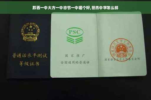 黔西一中大方一中毕节一中哪个好,世杰中学怎么样