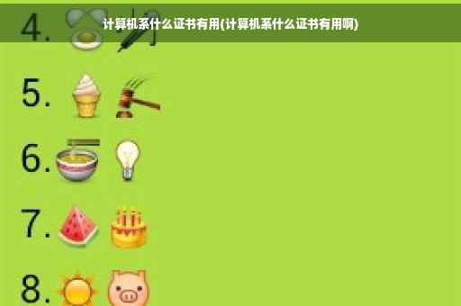 计算机系什么证书有用(计算机系什么证书有用啊)