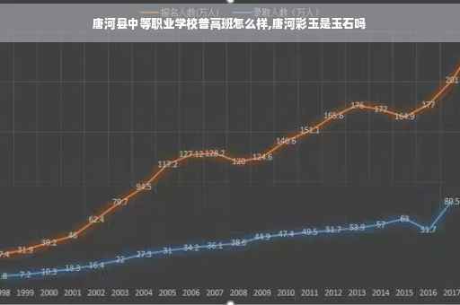 唐河县中等职业学校普高班怎么样,唐河彩玉是玉石吗