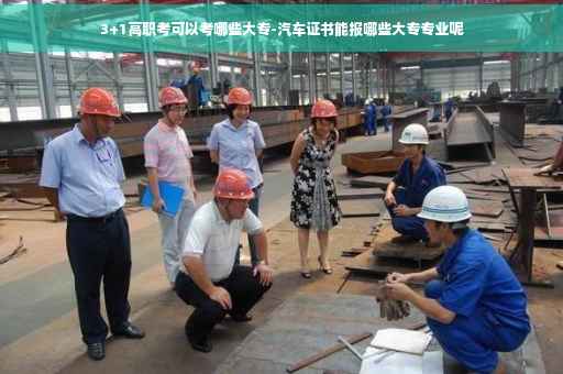 3+1高职考可以考哪些大专-汽车证书能报哪些大专专业呢