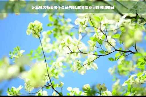 计算机老师要考什么证书呢,教育专业可以考哪些证