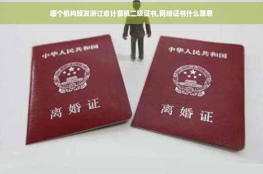 哪个机构颁发浙江省计算机二级证书,网络证书什么意思