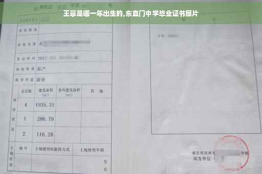 王菲是哪一年出生的,东直门中学毕业证书图片