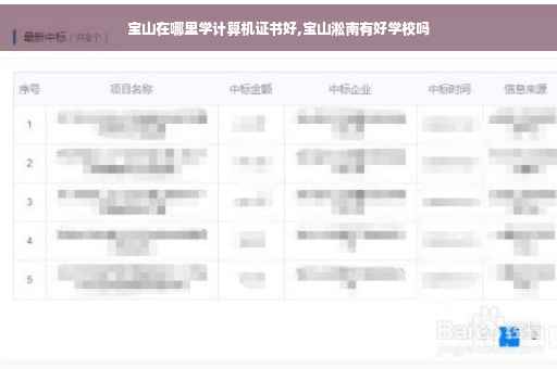 宝山在哪里学计算机证书好,宝山淞南有好学校吗