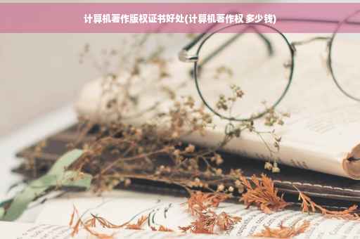 计算机著作版权证书好处(计算机著作权 多少钱)
