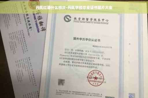 丹凤红酒什么档次-丹凤学校毕业证书图片大全