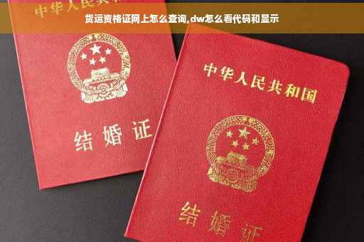 货运资格证网上怎么查询,dw怎么看代码和显示