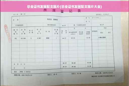 毕业证书发圈配文图片(毕业证书发圈配文图片大全)