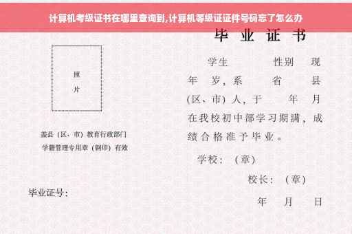 计算机考级证书在哪里查询到,计算机等级证证件号码忘了怎么办