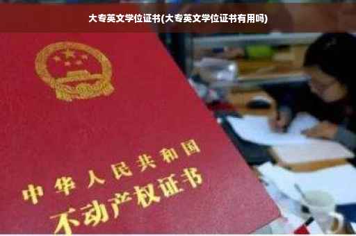 大专英文学位证书(大专英文学位证书有用吗)