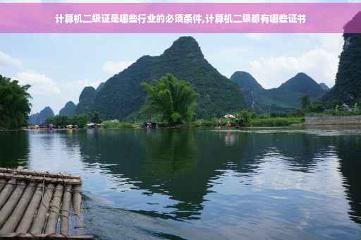 计算机二级证是哪些行业的必须条件,计算机二级都有哪些证书
