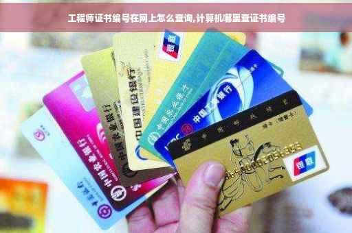 工程师证书编号在网上怎么查询,计算机哪里查证书编号