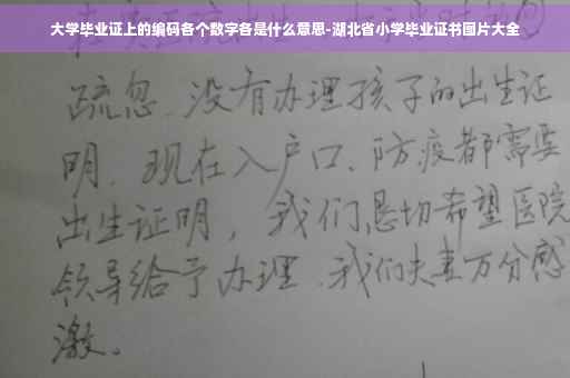 大学毕业证上的编码各个数字各是什么意思-湖北省小学毕业证书图片大全 大学毕业证上的编码各个数字各是什么意思-湖北省小学毕业证书图片大全