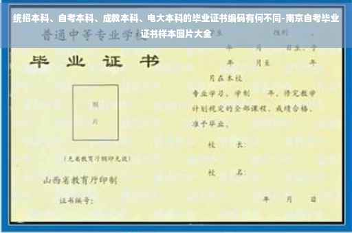 统招本科、自考本科、成教本科、电大本科的毕业证书编码有何不同-南京自考毕业证书样本图片大全