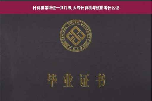 计算机等级证一共几级,大专计算机考试都考什么证