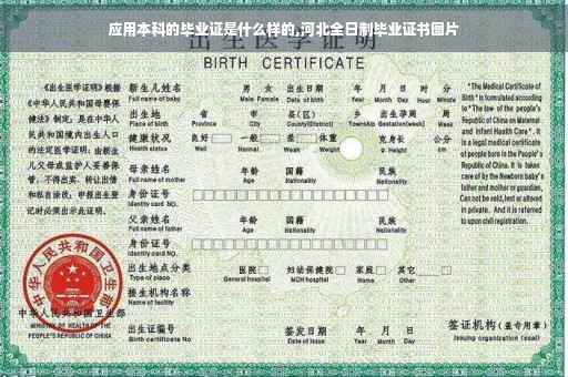应用本科的毕业证是什么样的,河北全日制毕业证书图片