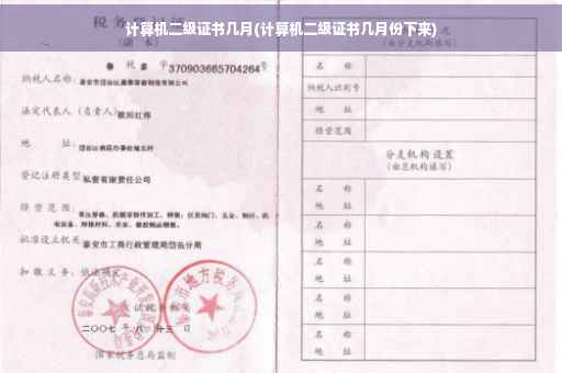 计算机二级证书几月(计算机二级证书几月份下来)