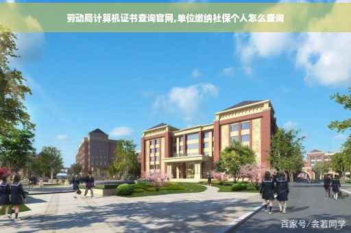 劳动局计算机证书查询官网,单位缴纳社保个人怎么查询