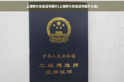 上海财大毕业证书图片(上海财大毕业证书图片大全)
