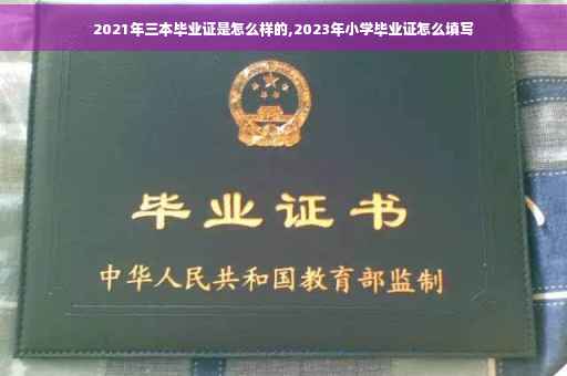 2021年三本毕业证是怎么样的,2023年小学毕业证怎么填写