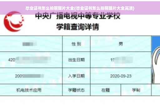 毕业证书怎么拍啊图片大全(毕业证书怎么拍啊图片大全高清)