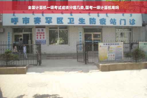 全国计算机一级考试成绩分哪几类,国考一级计算机难吗