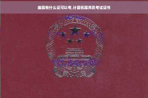 编程有什么证可以考,计算机程序员考试证书