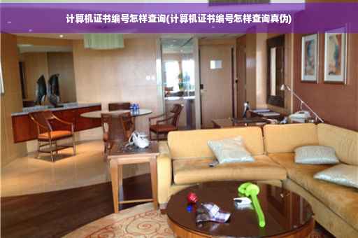 计算机证书编号怎样查询(计算机证书编号怎样查询真伪)