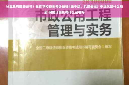 计算机有哪些证书？我们学校说要考计算机4级中级。几级最高？中级又是什么意思,网络计算机考什么证书好